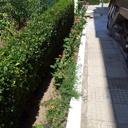 The House Next To The Beach 索佐波尔
