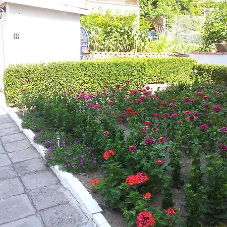 招待所 The House Next To The Beach 索佐波尔